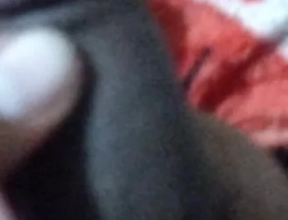 My Cock Video