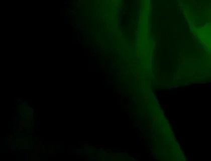 Sinnovator Introduced Me to Sean