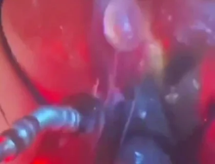 Intense Verbal Play Ahead...