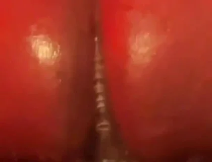 Riding Tf Out of the Phatrabbit Replica