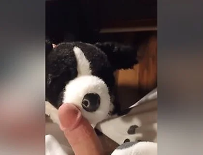 Border Collie Plushie Licks And Makes Onesie Pubby Cum!