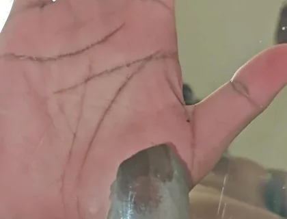 Further Experiments with a Bucket and Clear Plastic Have Yielded Cum