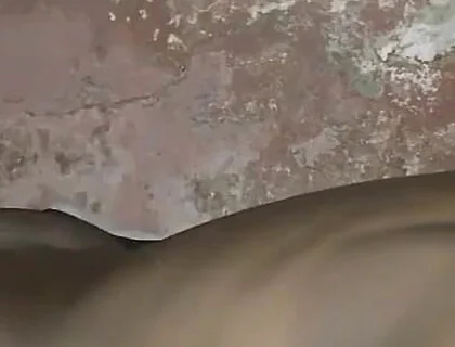 Humping My Bed Is a Sexual Desire