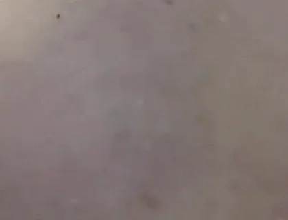 Tits Play so Good