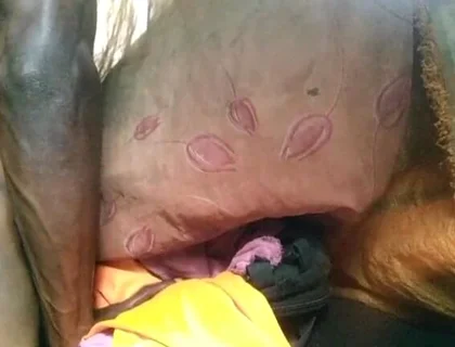 Boy Fuck Free Pussy and Cum Very Good