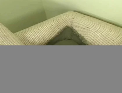 Daddy Chain: Dillon and Ross