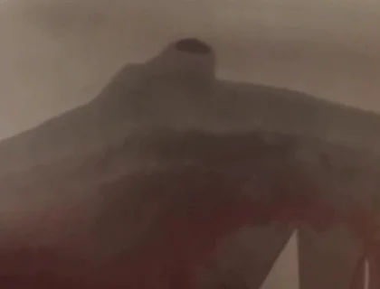 Essa Verticalargument4