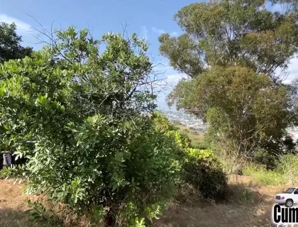 Caught Sucking Big Cock Blow Job Swallow Cum