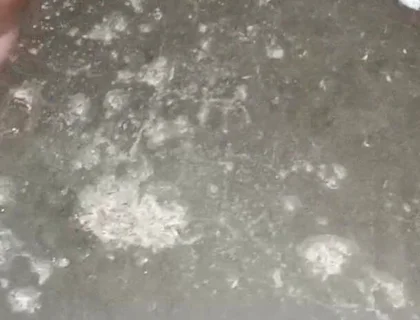 Indian Boy Black Dick Masturbate and Cum