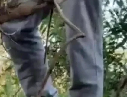 Hot Amateur Boy Sucks and Rims in the Woods