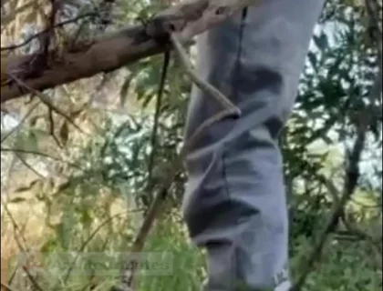 Hot Amateur Boy Sucks and Rims in the Woods