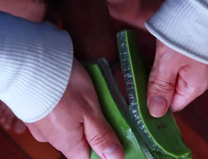 Using Aloe Vera as a Fleshlight