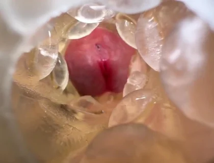 Huge Creampie with Internal View While Fucking Fleshlight, Moaning and Dirty Talking