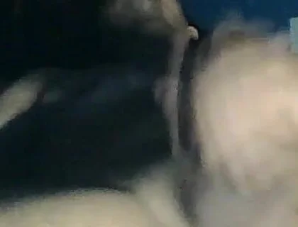 Tremendous Stick That You Deserve Like This Naked