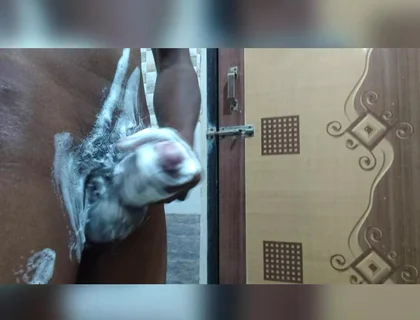 Mid Night Masterbrution