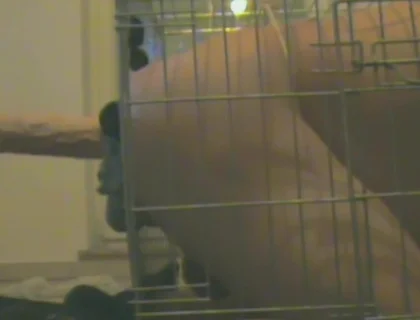 Slave in Cage Gets Anal Used