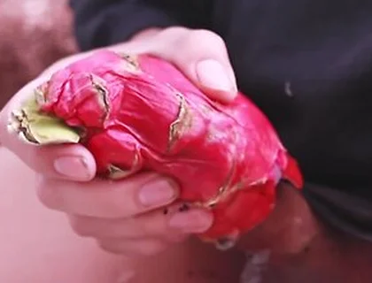 I Was So Horny I Fucked A Dragon Fruit