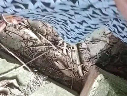 Jangal Me Mangal Bhola Sexy Boy