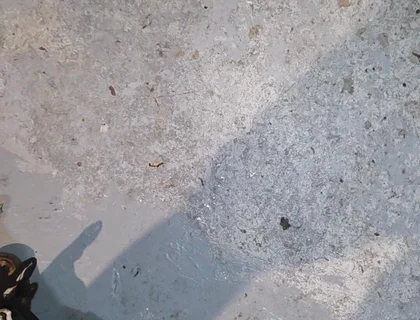 Shooting, Gushing Cumming Big Loads