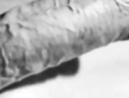 Revealing My Big White Hard Cock