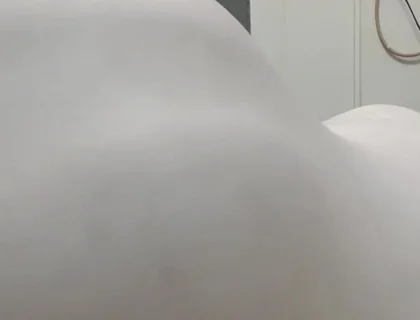 Ass Verticalargument4