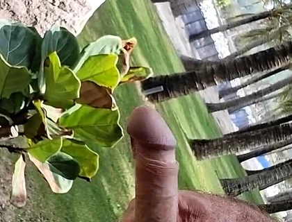 Public Beach Cock Flash