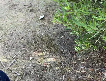 Cruising Adventures: Ep. 3, Madrid Outdoor Suck and Fuck Latino Guy and His Boyfriend