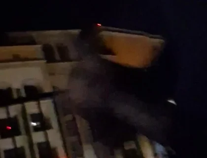 Jerking My Bwc Till I Cum