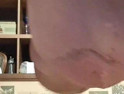 From Behind