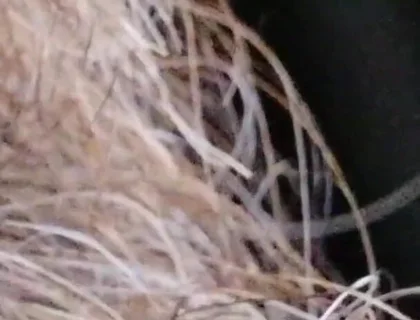 Kissing, Spitting on and Fucking My Stunt Mouth