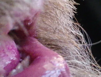 Kissing, Spitting on and Fucking My Stunt Mouth