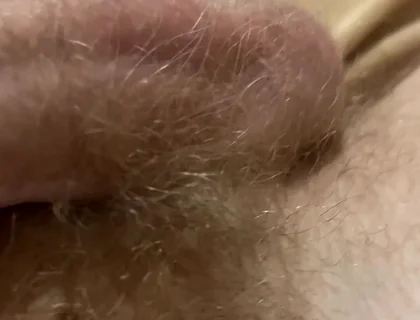 From Soft to Hard. Blond Hairy Dick