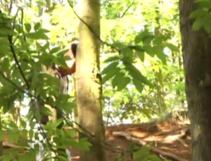 Sneaky Wank for Horny Twink