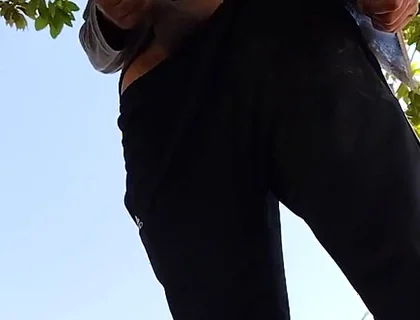 A Normal Day in the Park