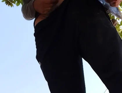 A Normal Day in the Park