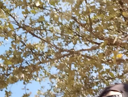 Me in the Park Alone Giving Pleasure to Till I Get Milk