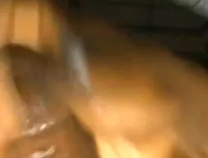 Solo Dick Massage Intense Cumshot