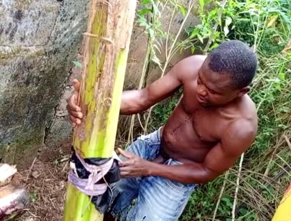 F*** Your Health Dick Out of the Cook