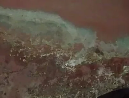 The Dark View of African Black Guy's Masturbation