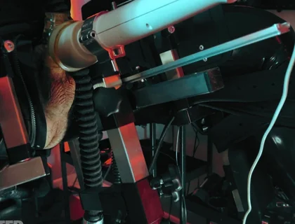 Rubber Discipline Revenge