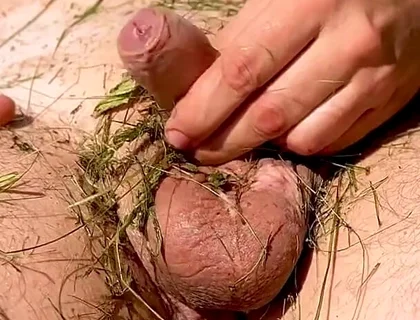 Caressing the Dick, Under the Summer Sun.