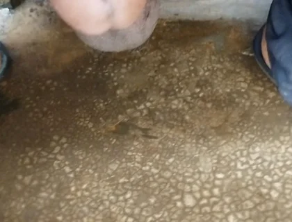 Boy Masterbeson Fully Satisfied with You Interested in Video