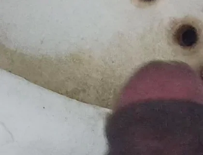 Land Dkkd