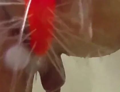 Using a Shower Spray Dildo