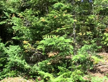 An Outdoor Cum Eruption!