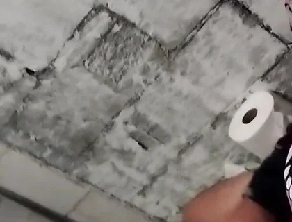 I Come to the Bathroom Because I Need to Pull It