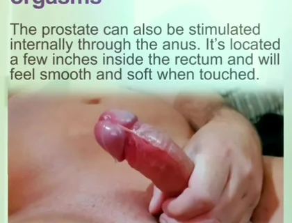 Prostate Orgasams Anal