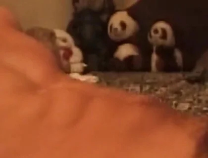 Throbbing Cock Deepthroat Gagging Till Drooling Mess