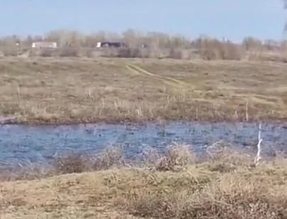 Fuck Me on the Side of the Road, Shove a Big Cock with Cum up My Ass