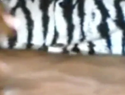 Passionately Stroking Edging My BBC Moaning Groaning